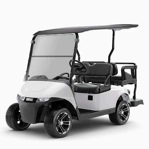 E-Z-GO RXV 2