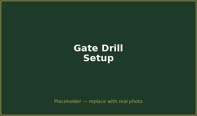Gate putting drill setup with two tees and a target cup — the simplest drill that fixes short putts