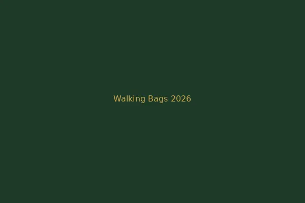 Best Golf Bags for Walking 2026